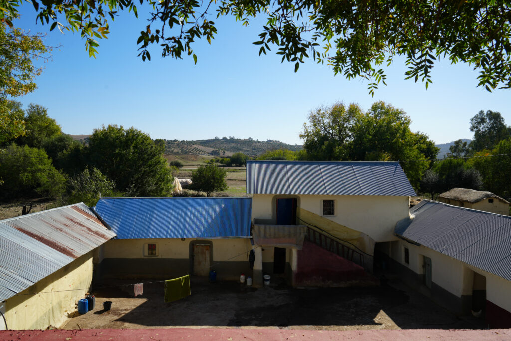 DSC01139